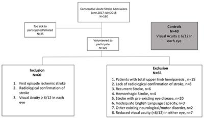 Vision and Visuomotor Performance Following Acute Ischemic Stroke